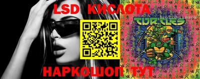 крисы Будённовск