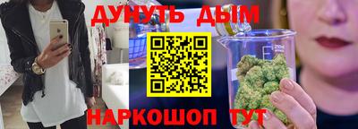 крисы Будённовск