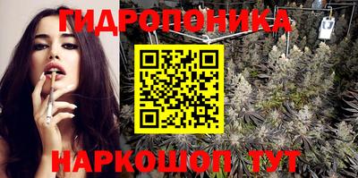 крисы Будённовск