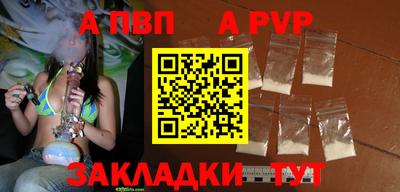 крисы Будённовск