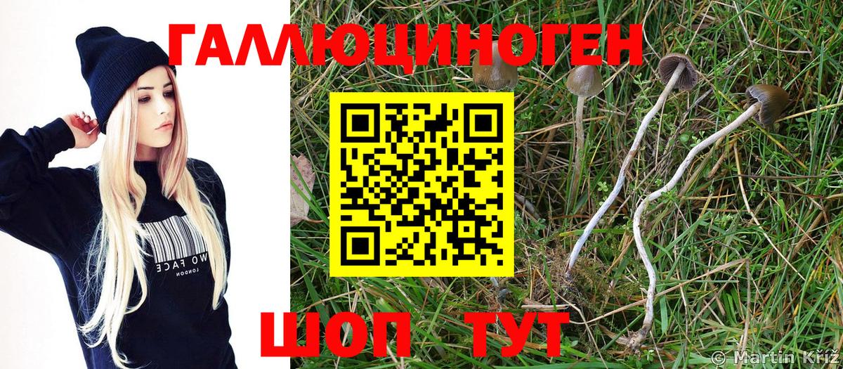 Нурлат  Псилоцибиновые грибы мухоморы  Вход с VPN  Псилоцибиновые грибы MAGIC MUSHROOMS 